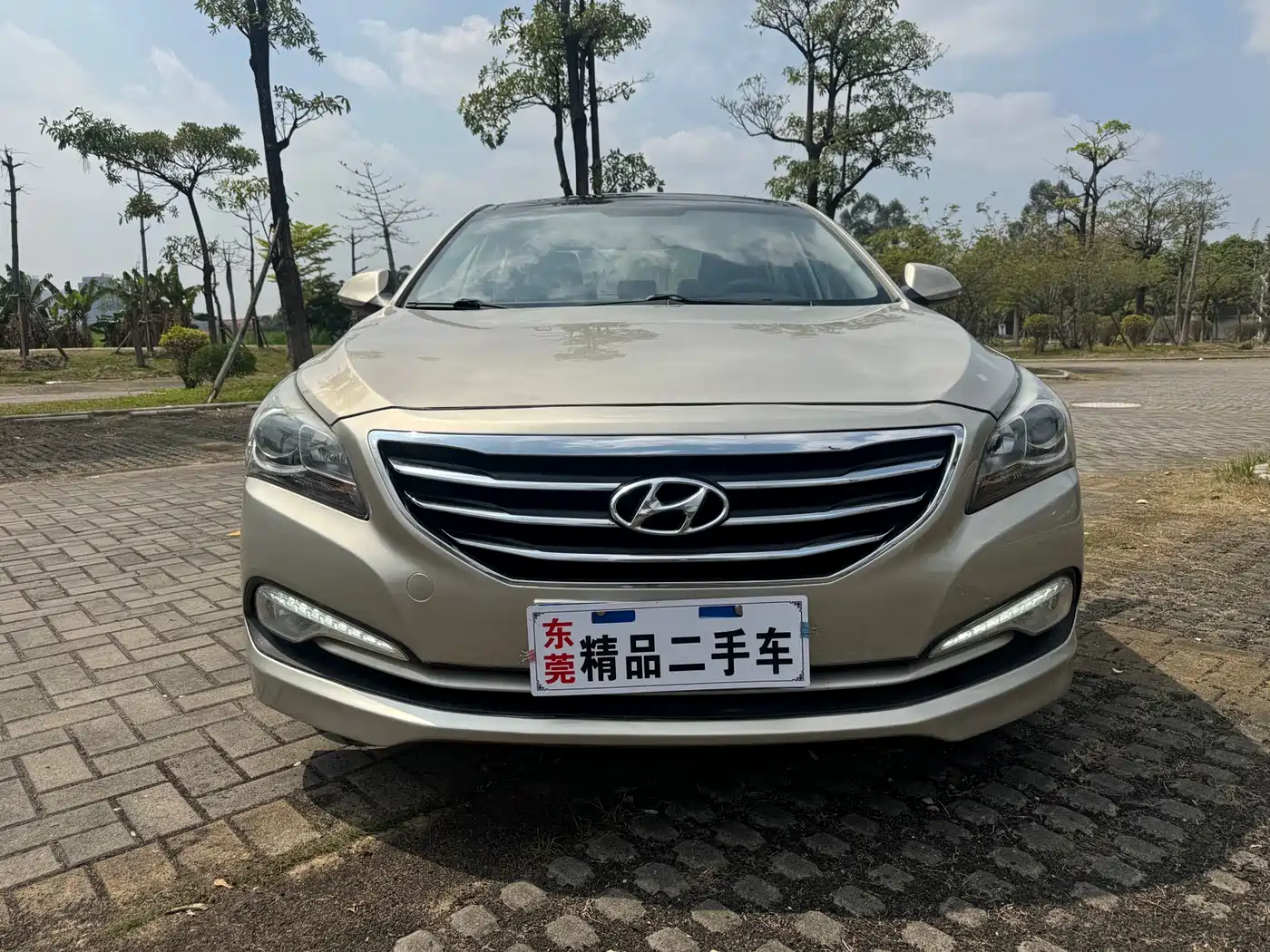 HYUNDAI NAME PICTURE