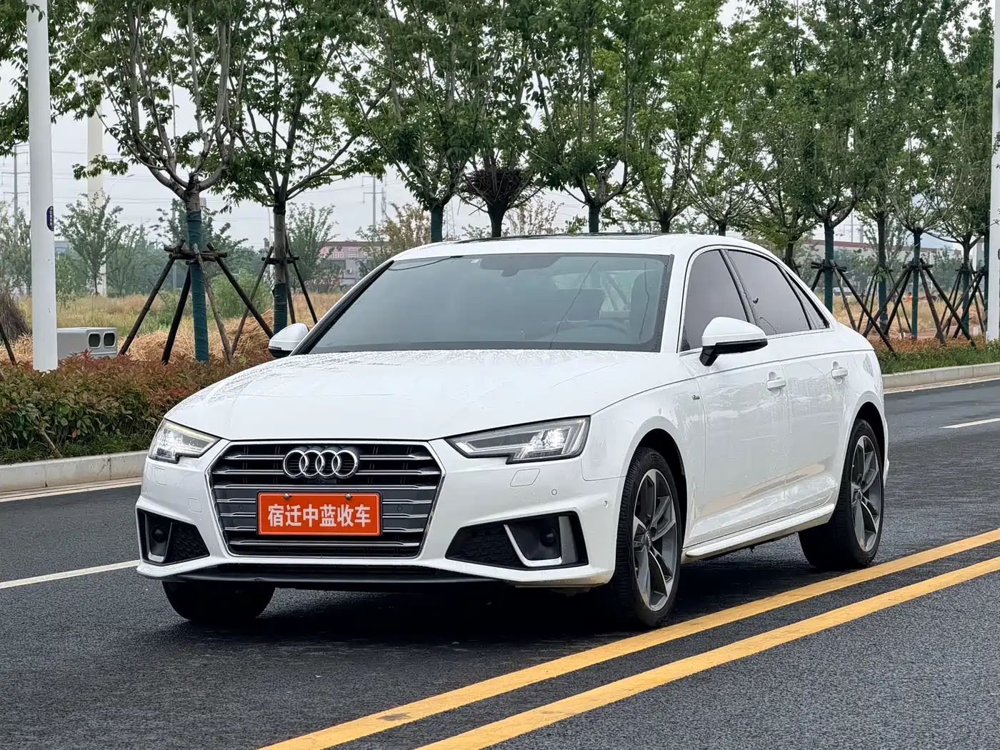 Audi A4L 2019 40 TFSI Sport (China V)