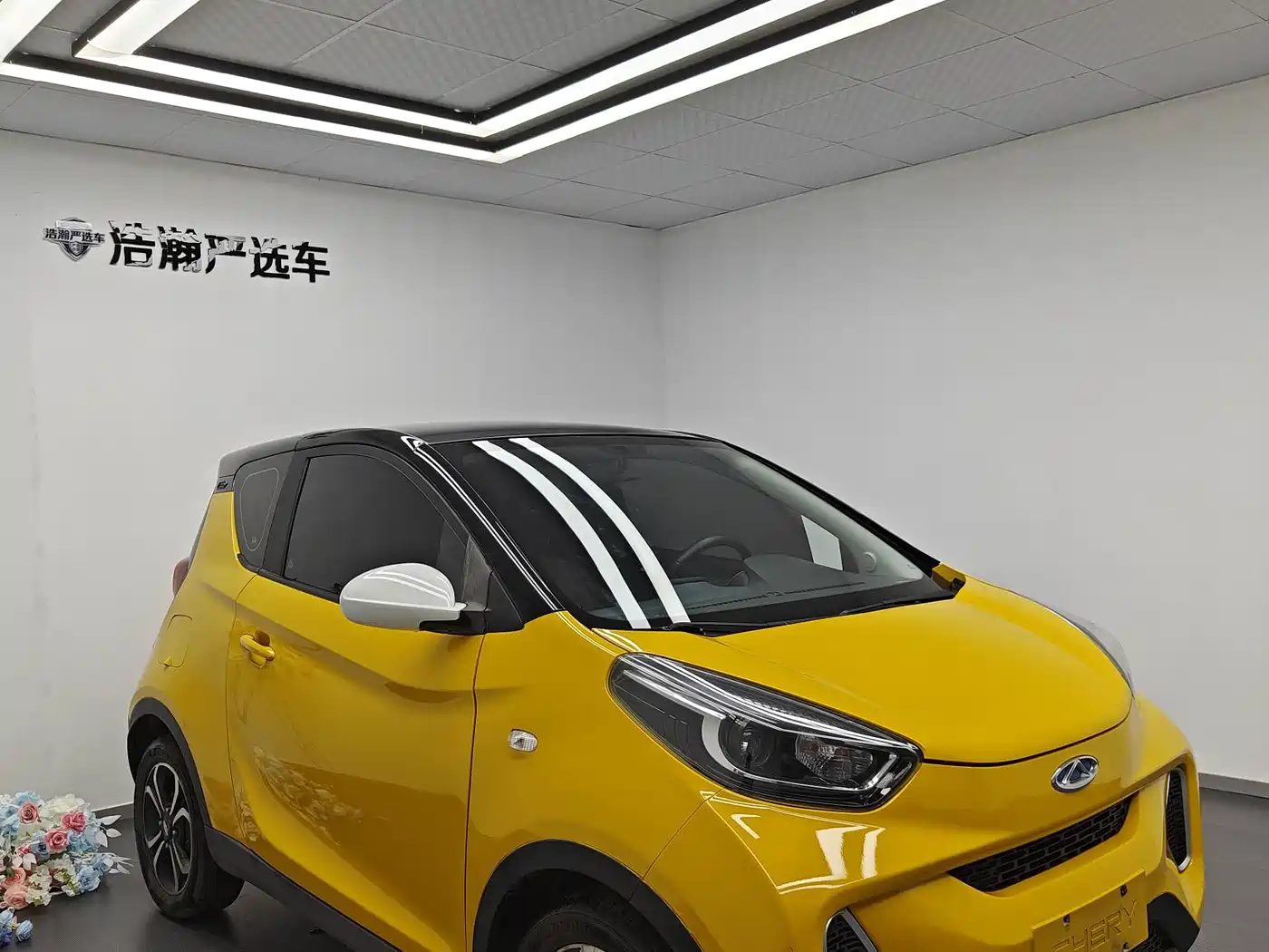 Фото 3 - QQ New Energy Little Ant