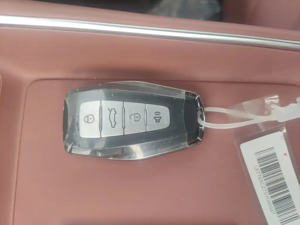 Geely Boyue REV 2026 2026 Extended Range Base Model