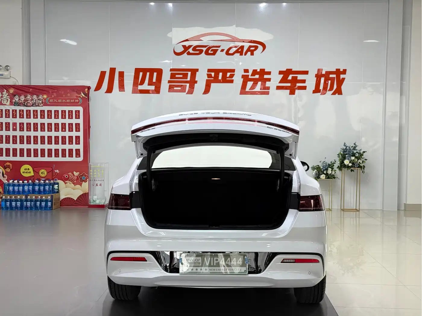 BYD Qin PLUS 2024 Glory Edition DM-i 55KM Leading фото 9