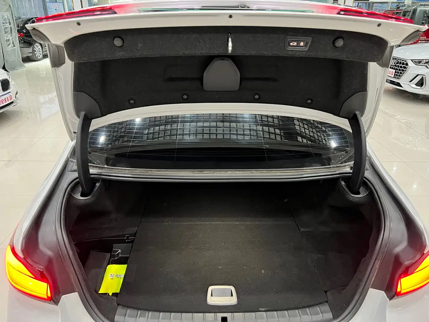 BMW 5 SERIES NEW ENERGY