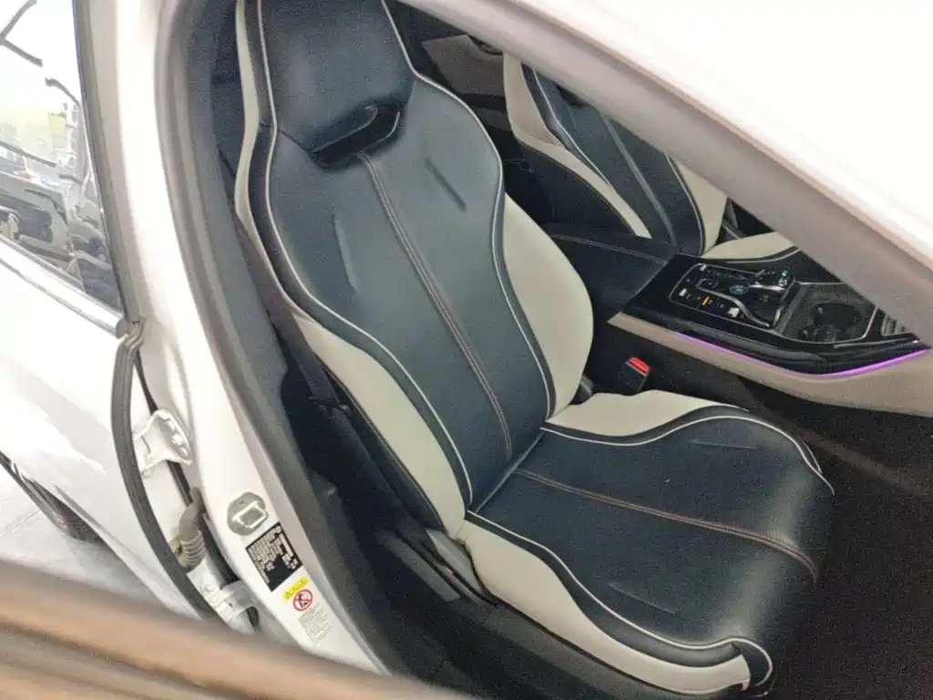 BYD Qin PLUS 2021 2021 EV 500KM Premium Model