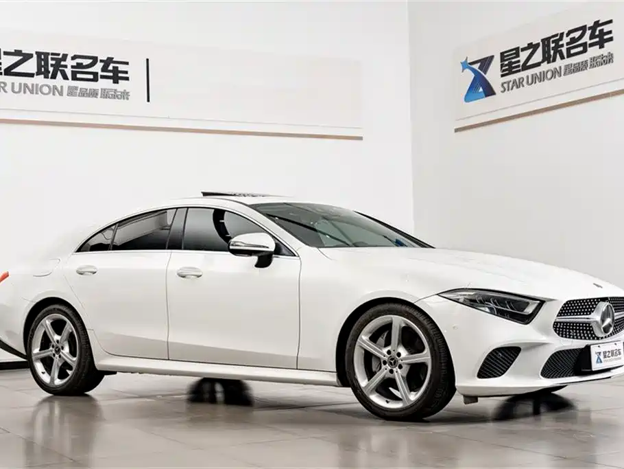 Mercedes-Benz CLS 2018 CLS 300 Dynamic фото 6