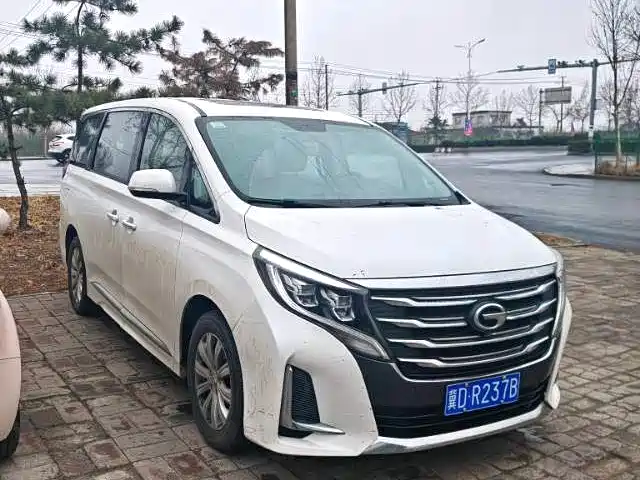 GAC Trumpchi Trumpchi M8 2020 Pilot 390T Luxury Edition фото 3