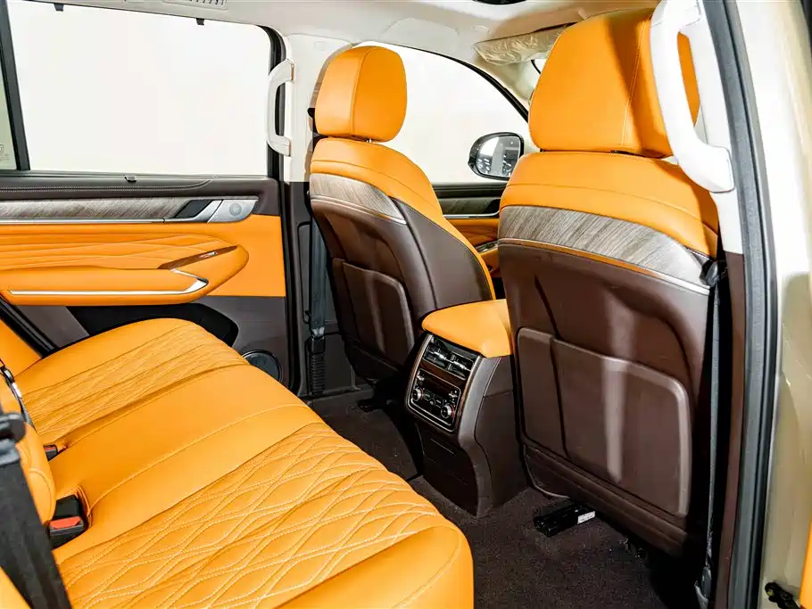 Tank 500 2022 2022 3.0T Business Edition Zaojing 5-Seater