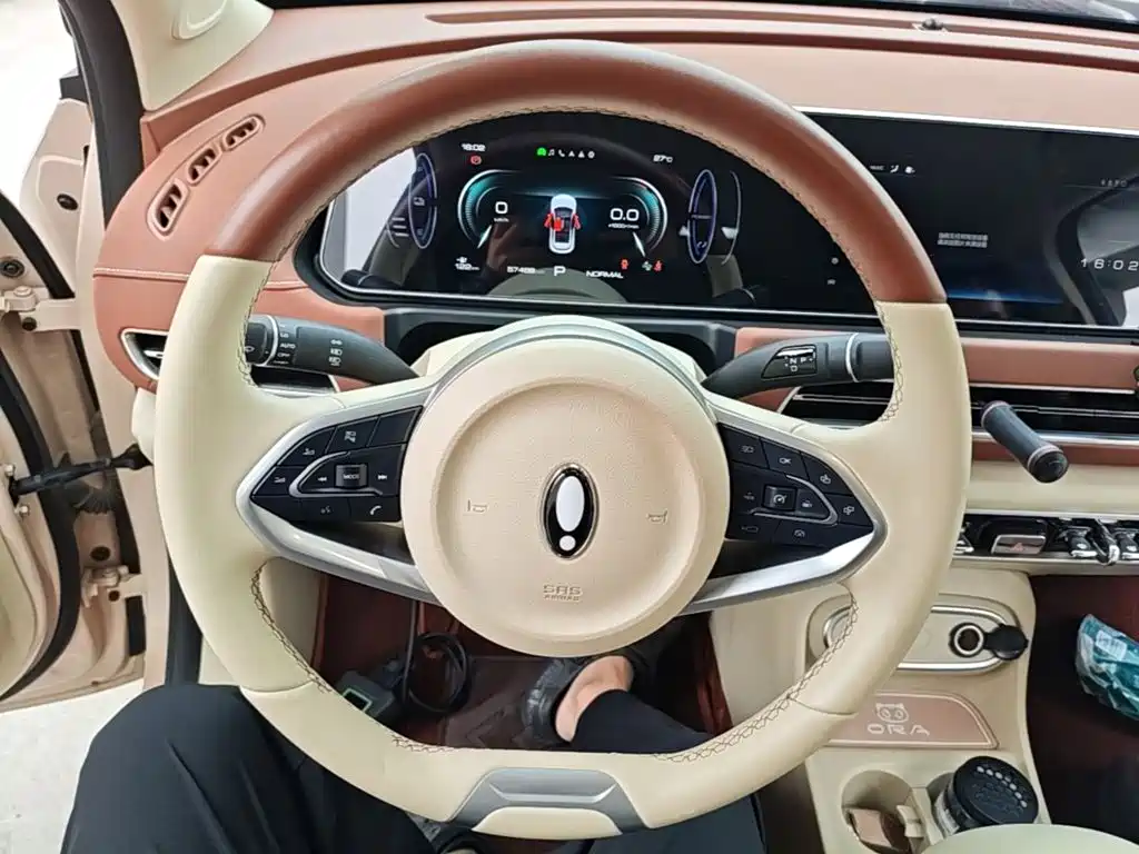 Ora Good Cat 2023 2023 401km Standard Range Luxury LFP