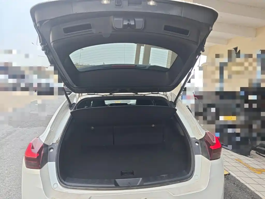 Lexus UX 2022 2020 200 Special Edition