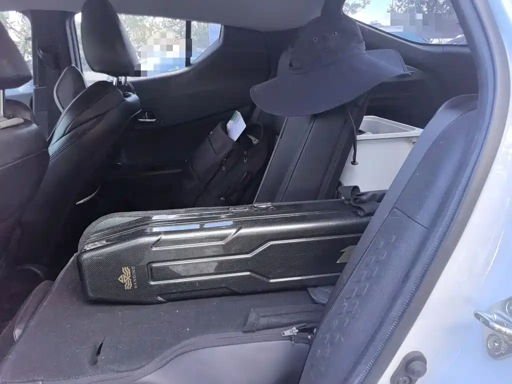 Toyota IZOA 2022 2021 2.0L Yixing Edition