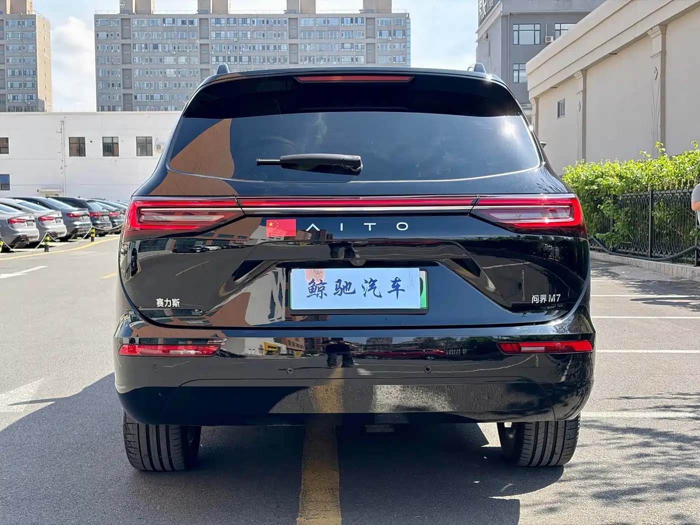 AITO Wenjie AITO M7 2024 1.5T Smart Drive AWD Pro 5-seater фото 7