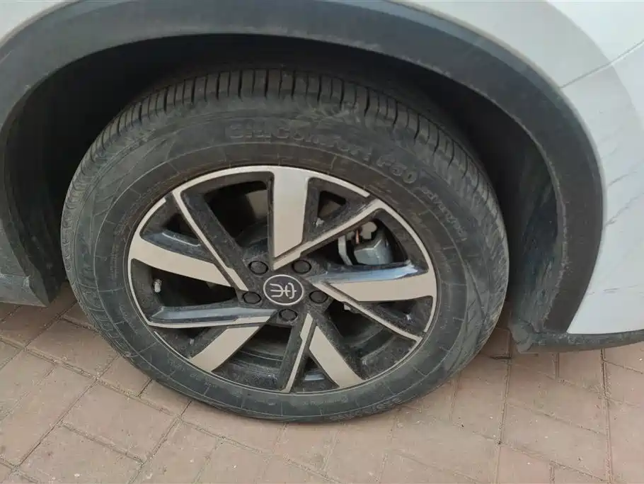 BYD SONGJIANG NEW ENERGY