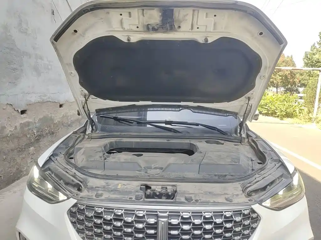 WEY VV6 2021 2021 2.0T 2WD Smart Enjoyment+