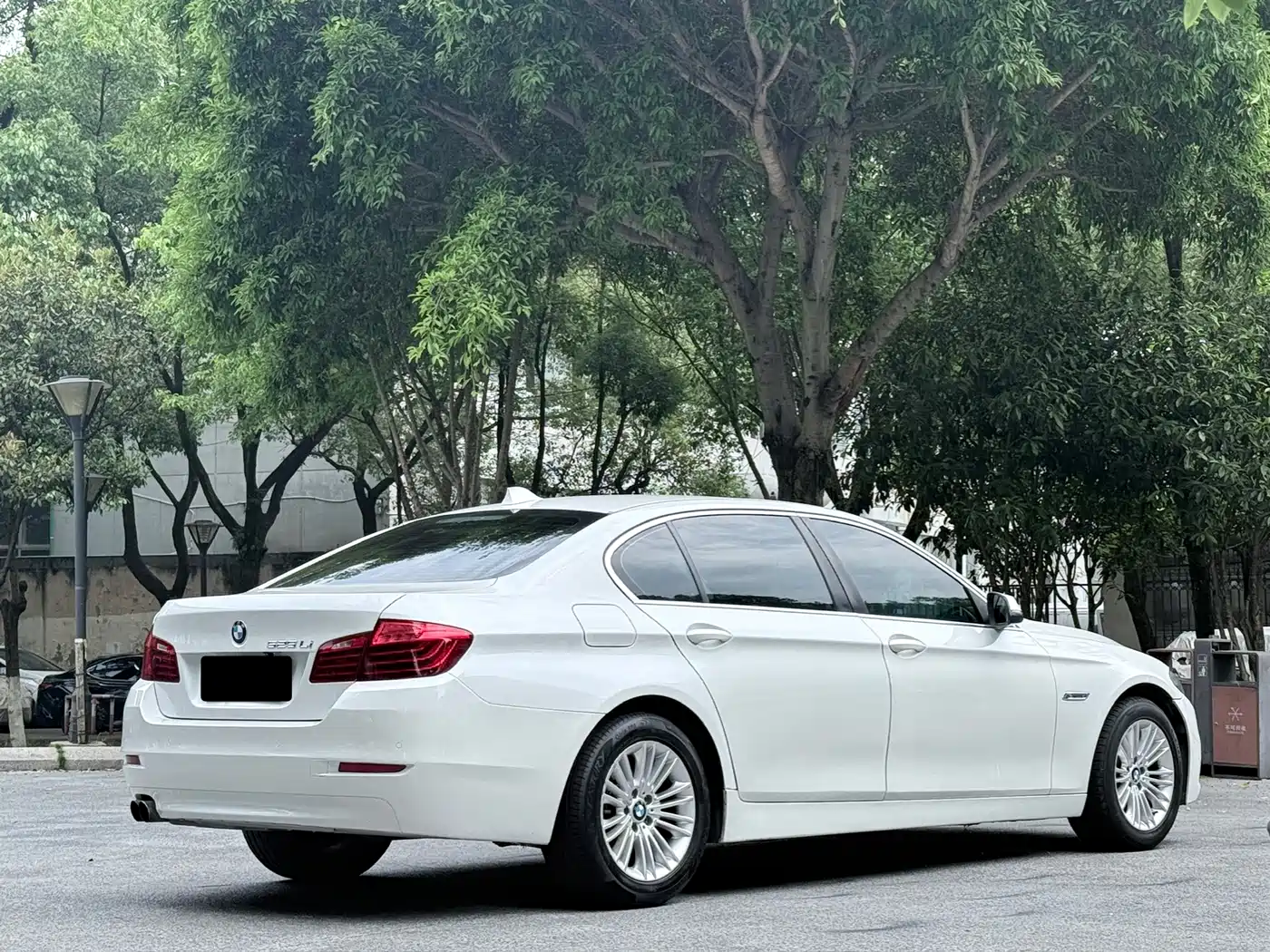 BMW 5 Series 2014 525Li Leading фото 15