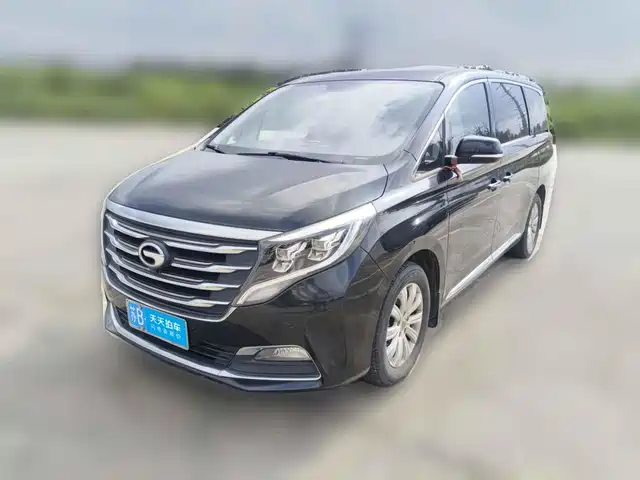 GAC Trumpchi Trumpchi M8 2018 320T Exclusive Edition — фото 1
