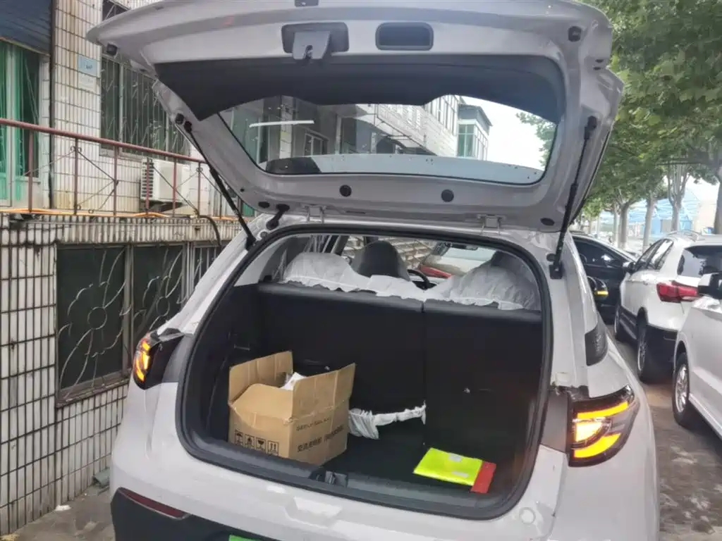 Geely Galaxy Starry Wish 2026 Edition 310km Youth Version фото 19