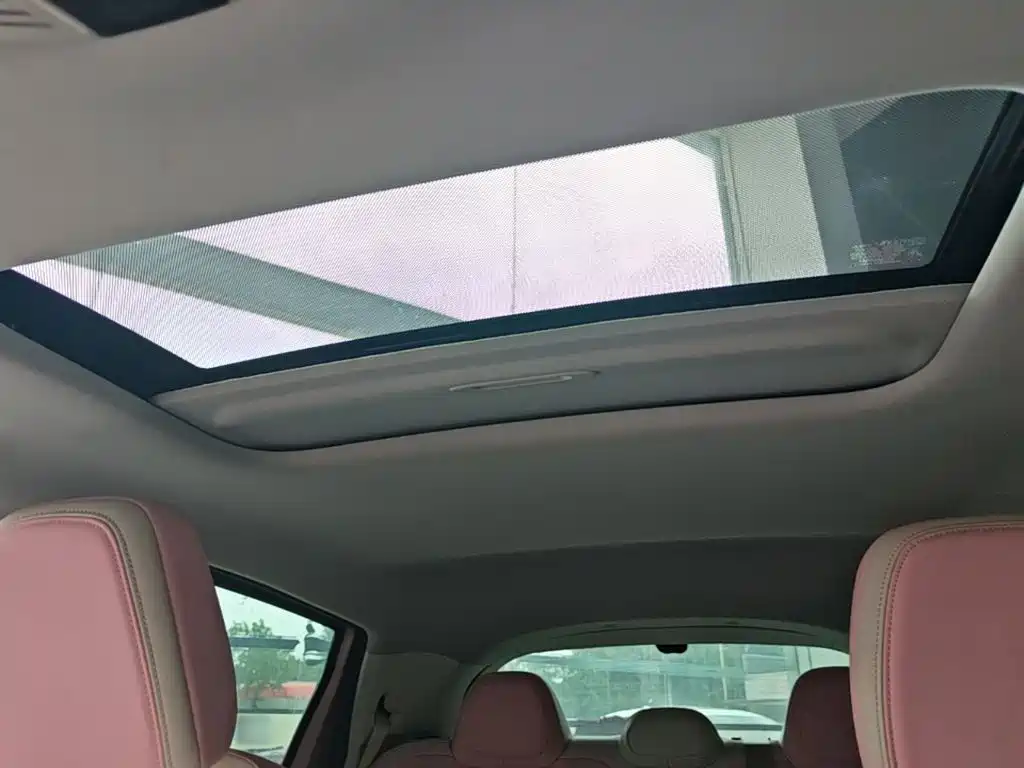 Geely Geometry E Firefly 2024 2024 401km Starlight