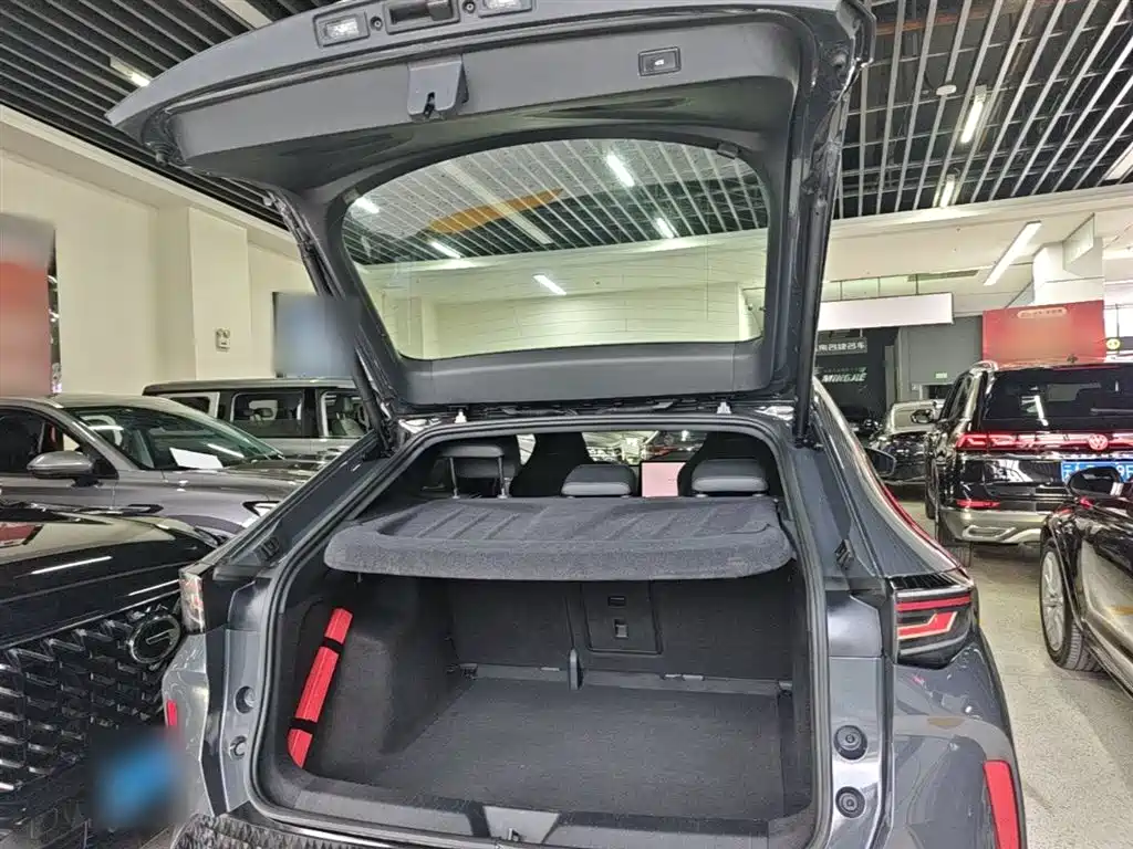 Volkswagen Unique 06 2024 Facelift Ultra Long Range фото 19