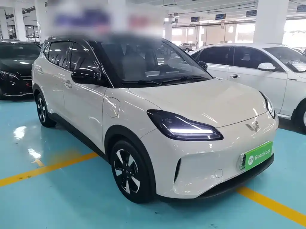 Wuling Motors Wuling Binguo PLUS 2025 2024 510km Range 5-seater