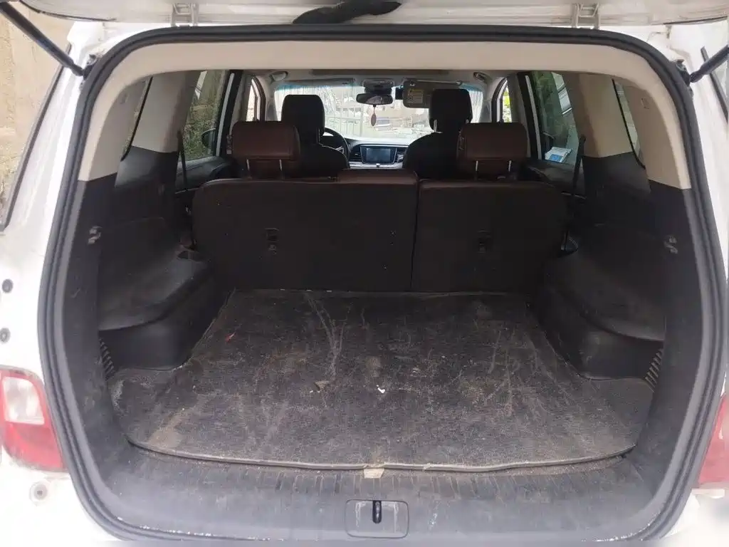 Фото 20 - Buick GL6
