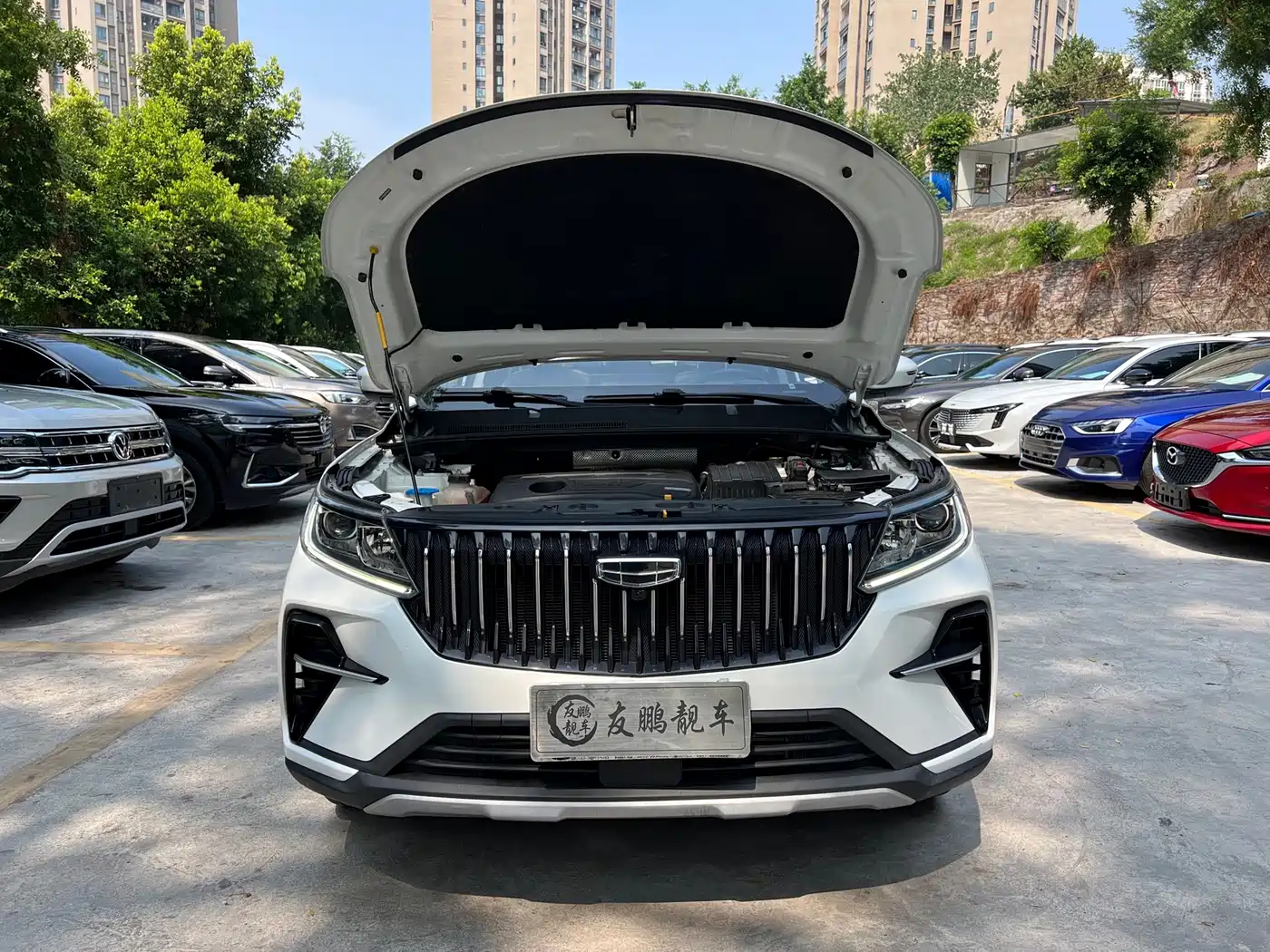 Geely Emgrand X6 2023 2021 Model PRO 1.4T Automatic Premium