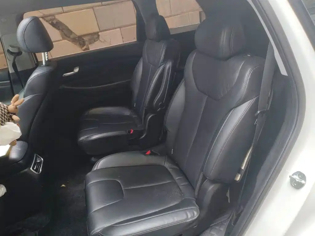 Hyundai Santa Fe 2023 Traveller 380T GDi Auto 2WD GLX Elite Edition фото 14