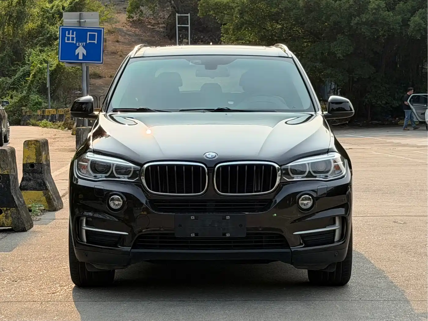 BMW X5 (Import) 2014 xDrive35i Leading фото 2