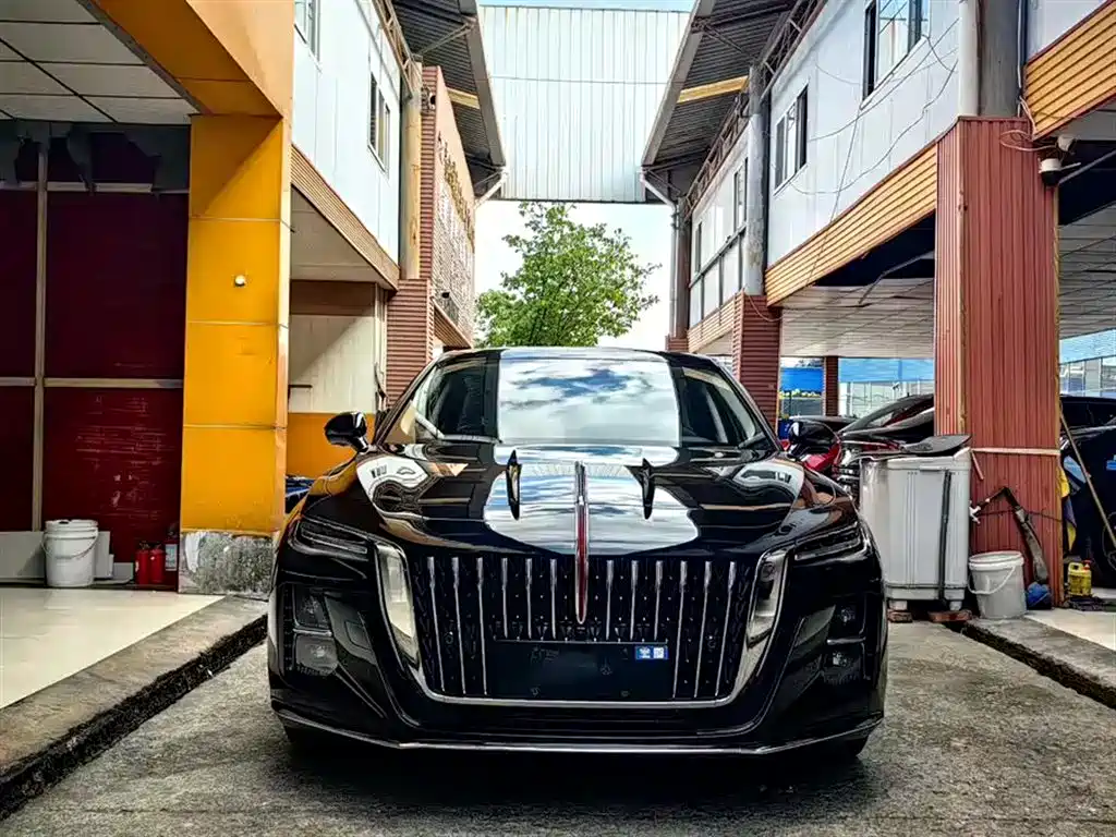 Hongqi H5 2023 2.0T Auto Smart Connect Flag Comfort фото 2