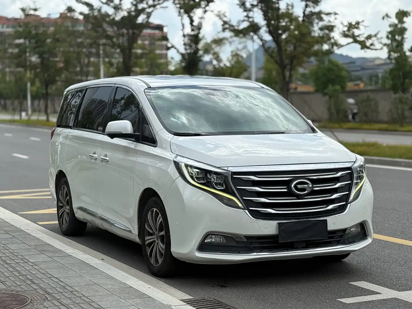 GAC Trumpchi Trumpchi M8 2018 320T Flagship Edition фото 3