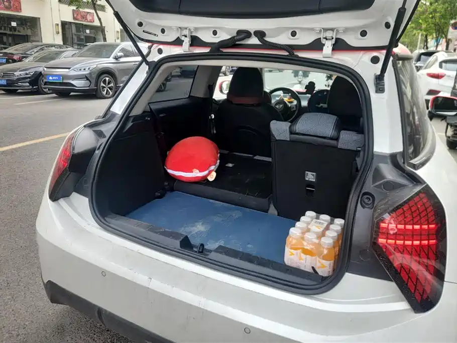 MINI ELECTRIC  COOPER