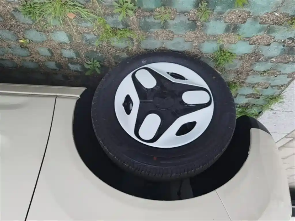 Geely Galaxy Panda 2025 Panda mini 210km Vitality Bear фото 25
