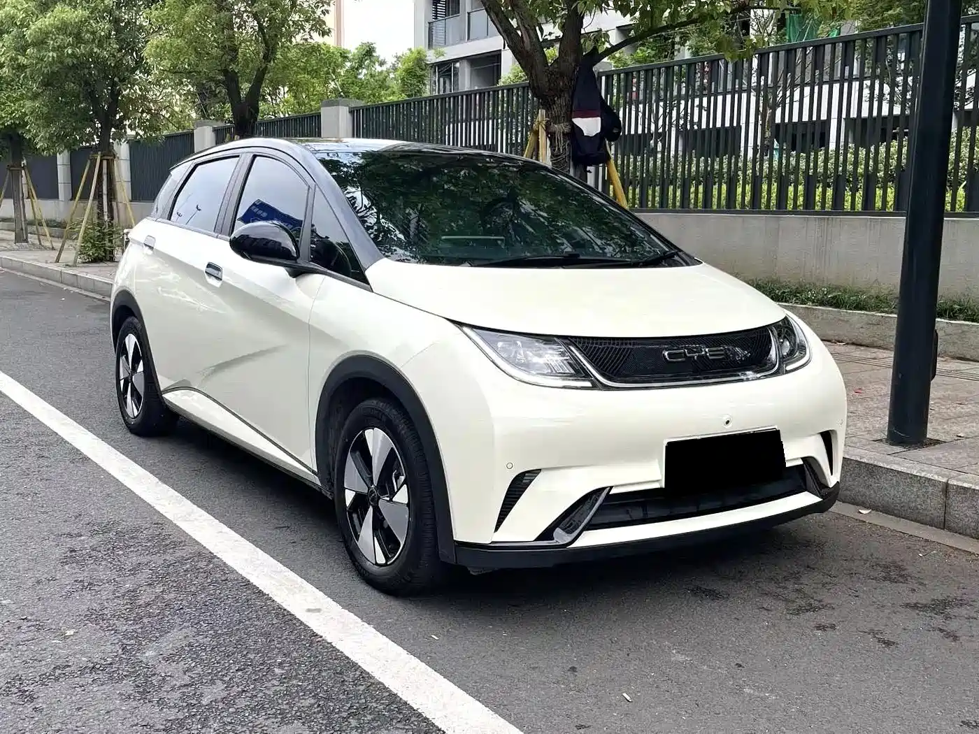 BYD Dolphin 2023 420km Freedom Edition фото 3