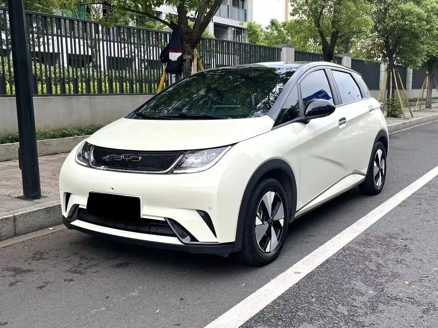 BYD Dolphin 2023 420km Freedom Edition