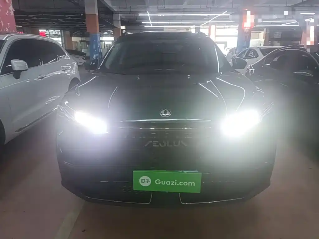 Dongfeng Aeolus Haohan 2023 2023 1.5T Luxury Edition