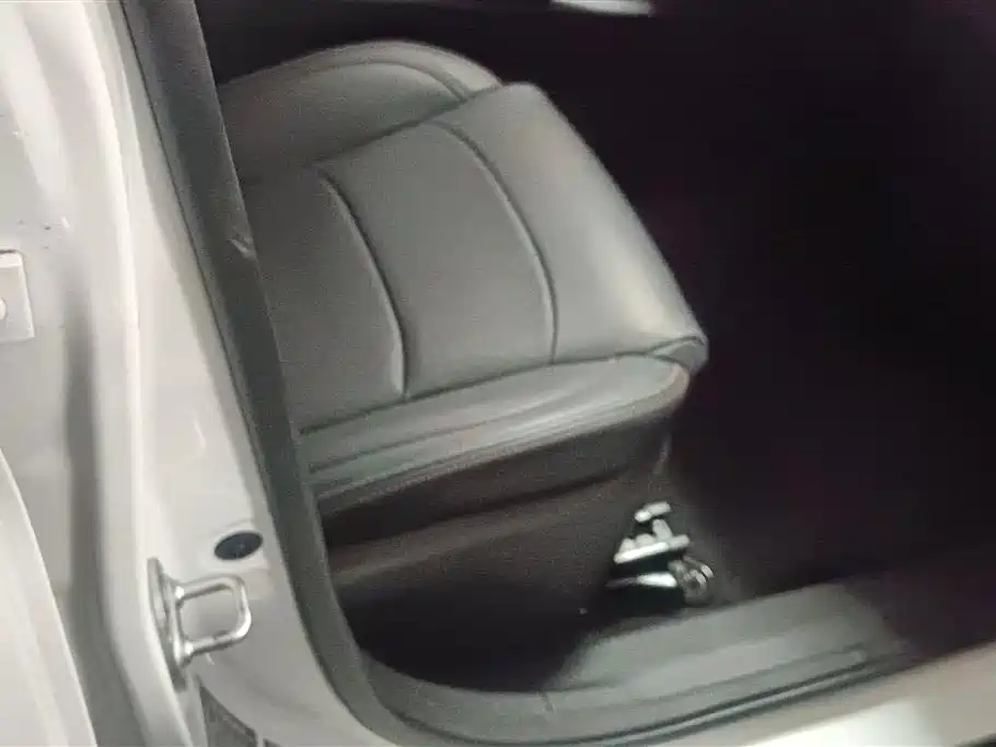 DONGFENG SCENERY 500