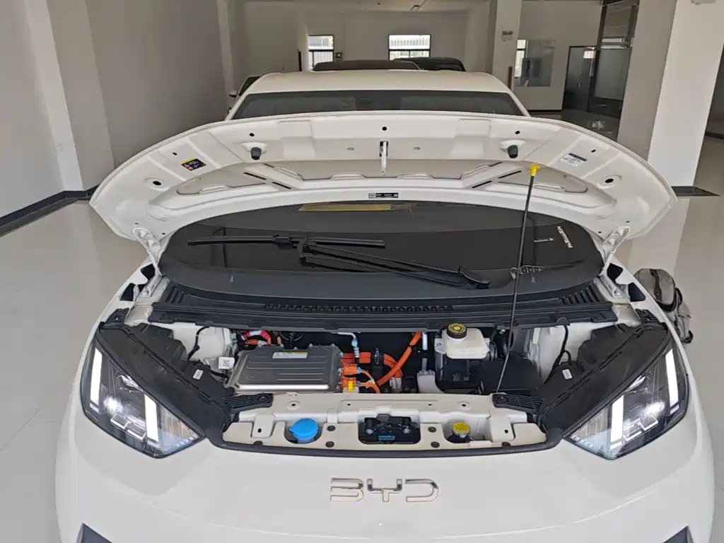 BYD Seagull 2026 2025 Smart Drive Edition 405km Free Edition