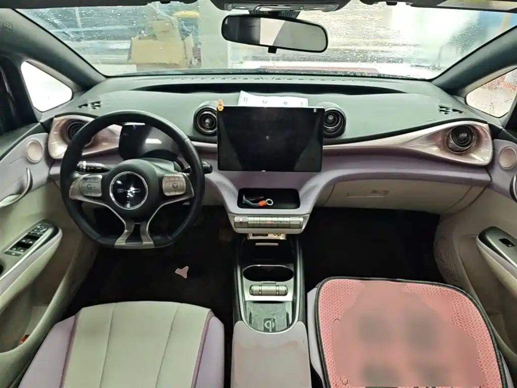 BYD Dolphin 2021 Model 405km Fashion Edition фото 10