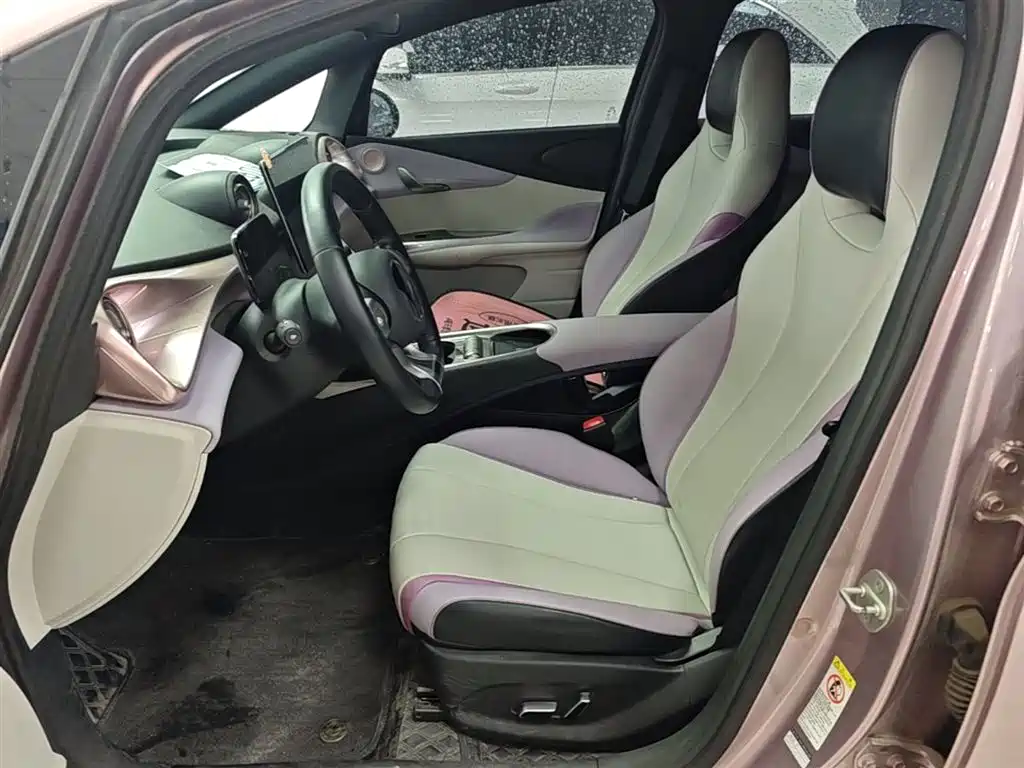 BYD Dolphin 2021 Model 405km Fashion Edition фото 15