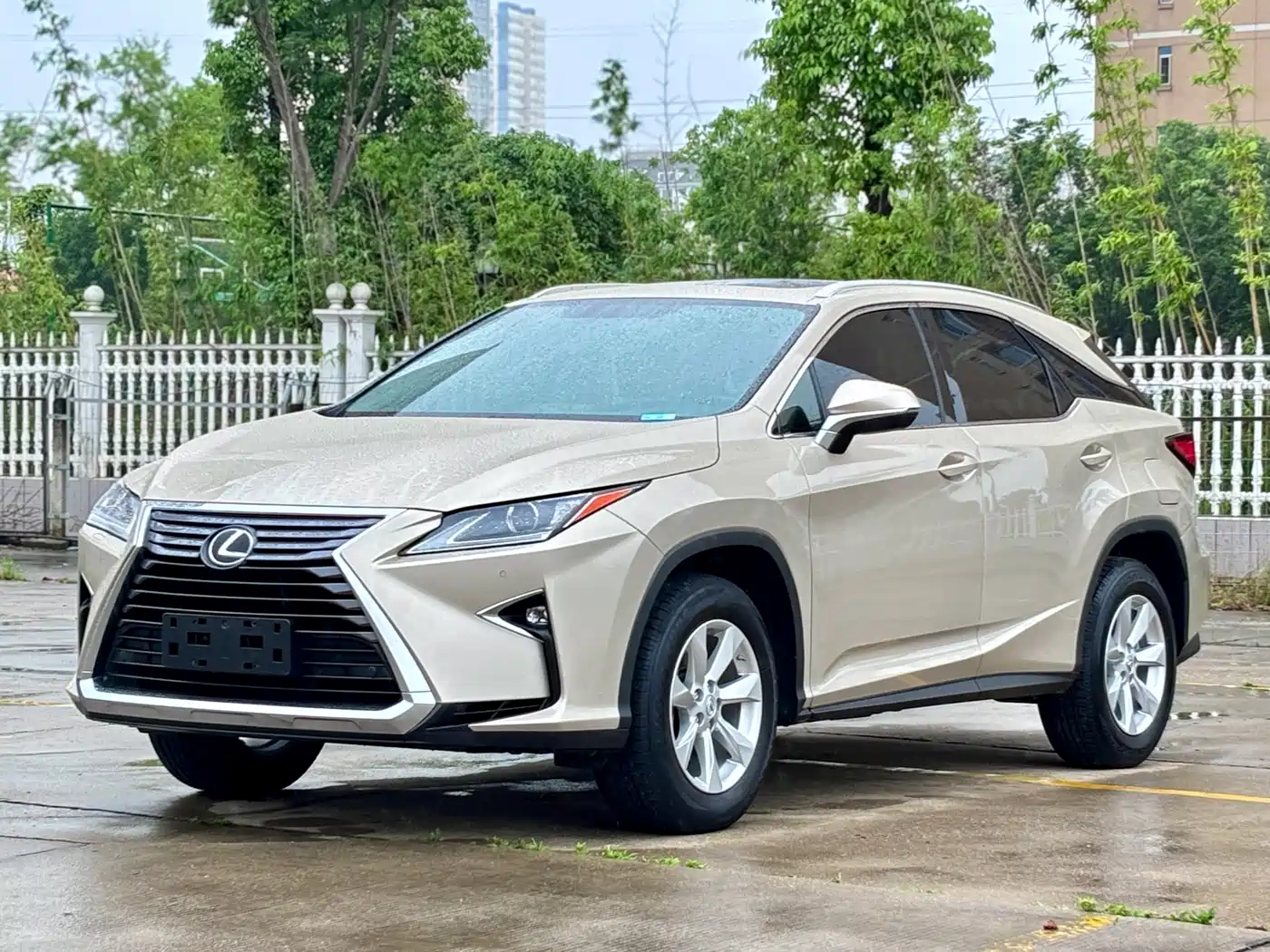 LEXUS RX