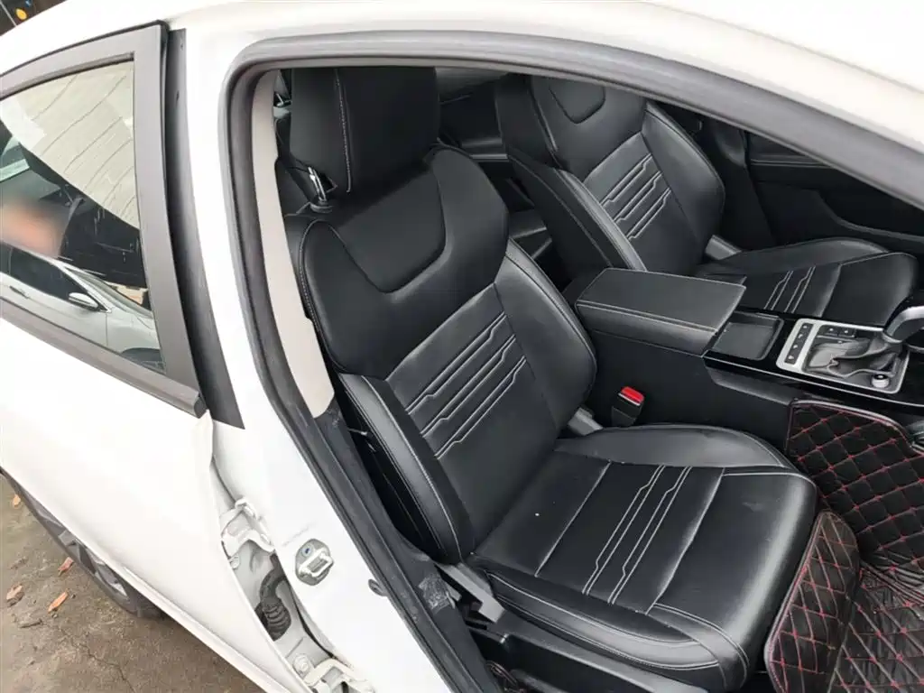 BYD Qin 2019 1.5L Automatic Luxury Edition фото 25