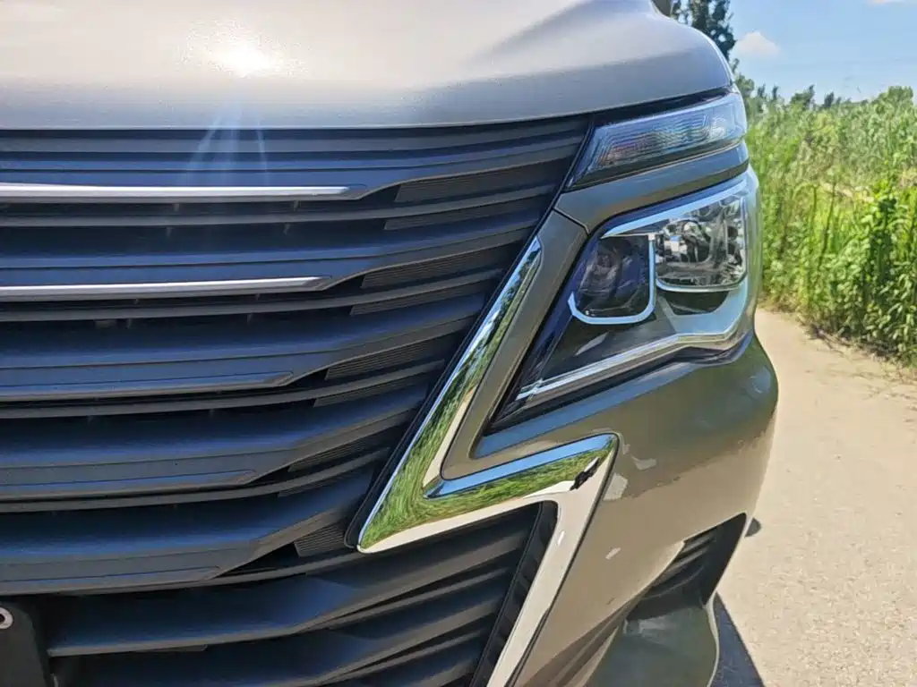 Фото 24 - Dongfeng Fengxing Lingzhi