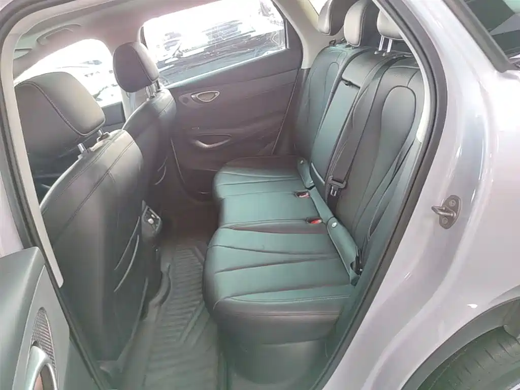 BYD Hai Shi 05 EV 2025 520KM Smart Navigation Edition фото 17