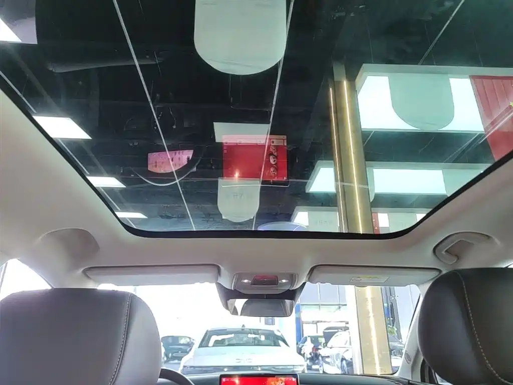 BYD Hai Shi 05 EV 2025 520KM Smart Navigation Edition фото 18