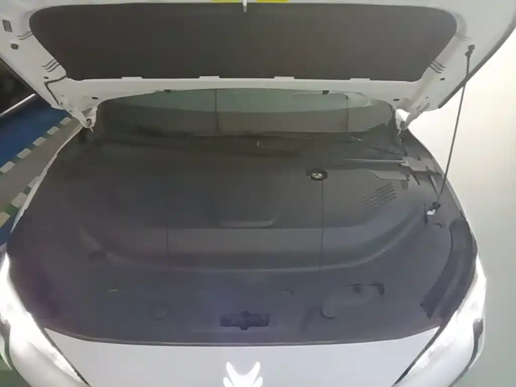 ARCFOX Alpha S5 2025 2024 560MAX 185kW