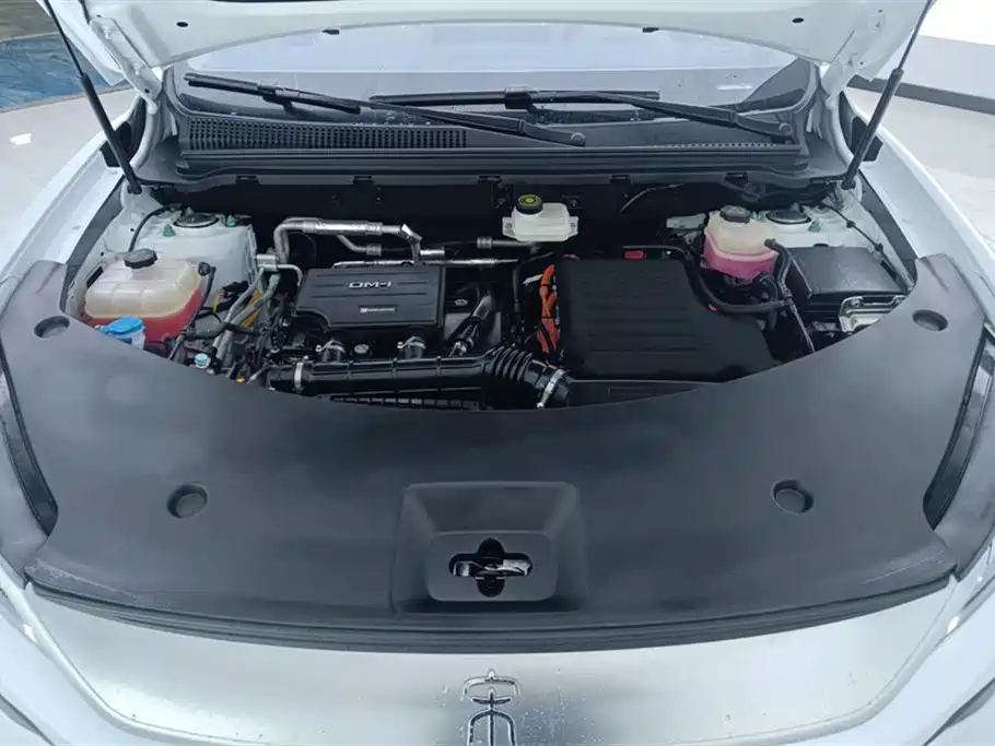 BYD SONGJIANG NEW ENERGY