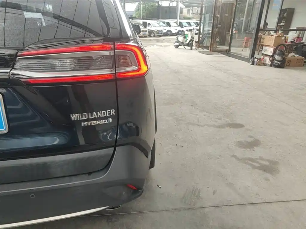Toyota Wildlander 2020 Hybrid 2.5L E-CVT AWD Luxury Edition фото 8
