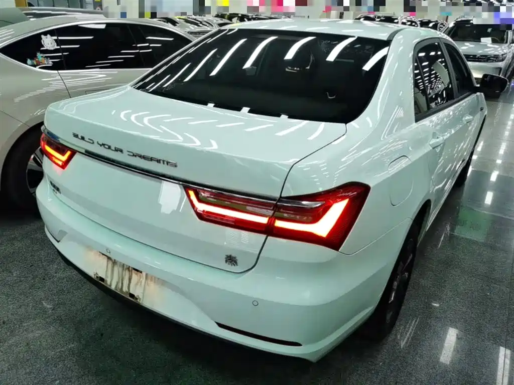 BYD Qin New Energy 2019 Travel Standard Edition фото 7