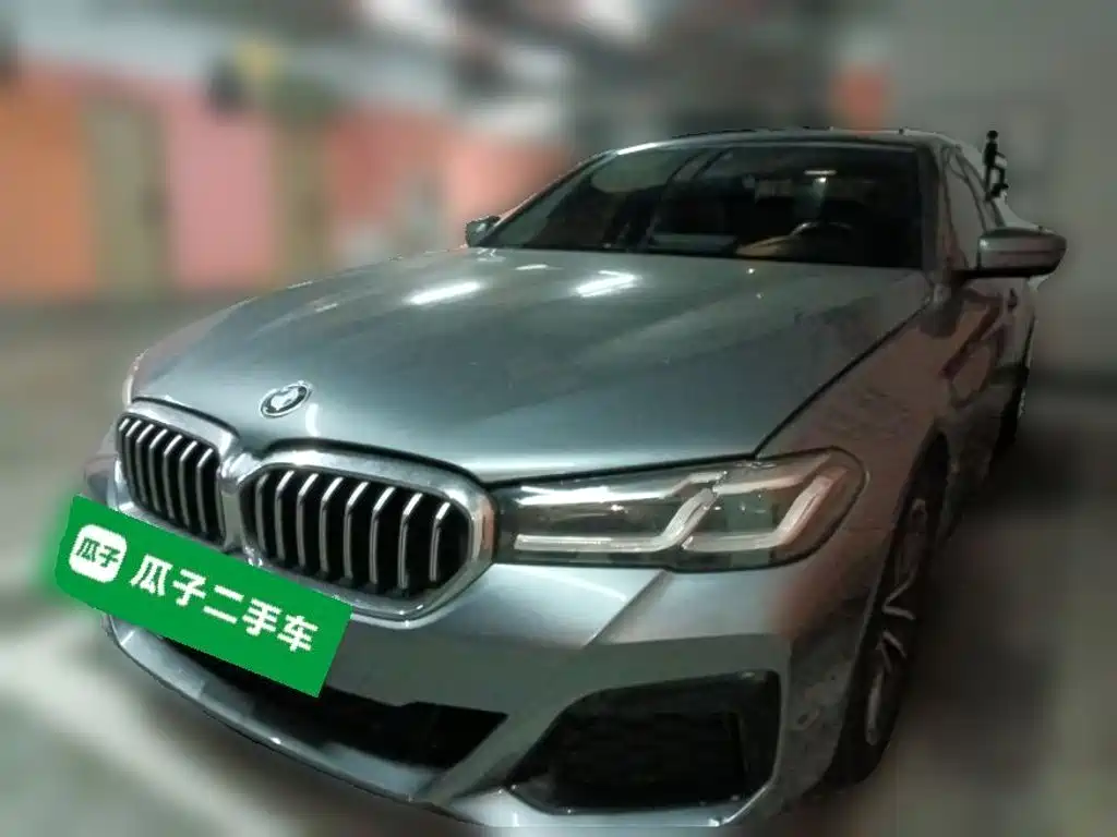 BMW 5 Series (Import) 2021 — пригон из Китая
