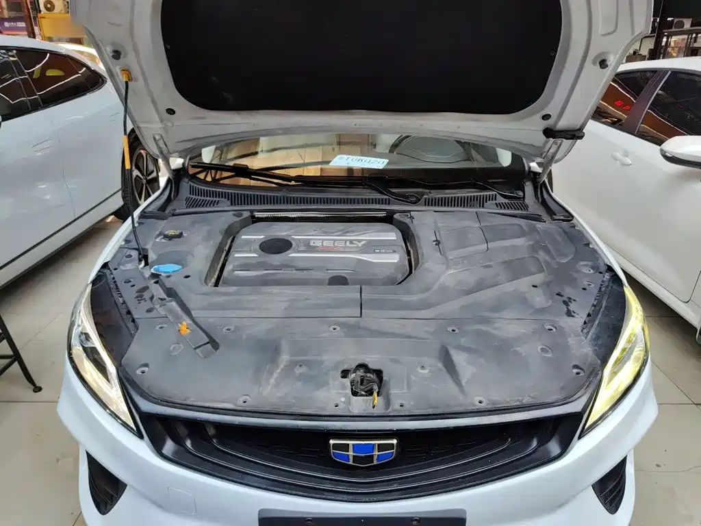Geely Binrui 2019 2018 1.4T CVT Binzhi Edition