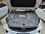 Фото 16 - Geely Binrui