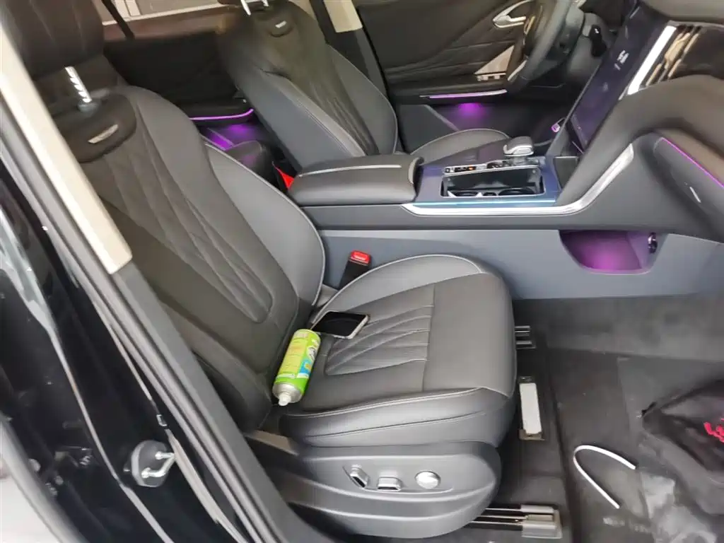 Hongqi HS7 PHEV 2024 2.0T PHEV 4WD Flagship Edition 6-seater фото 25